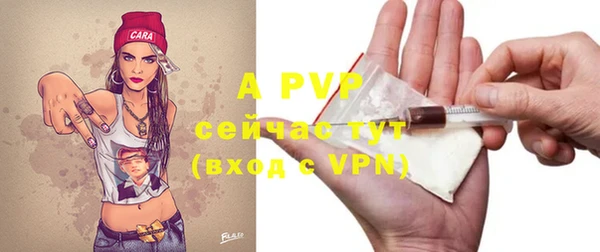 ALPHA PVP Ельня