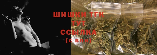 ALPHA PVP Ельня