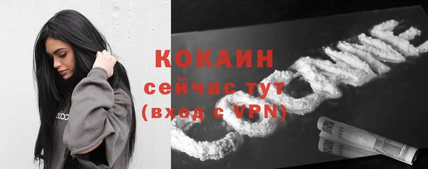 альфа пвп Елизово