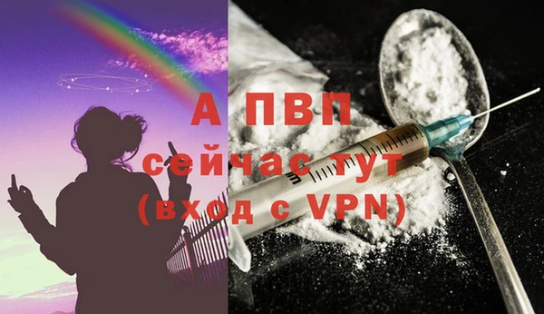 альфа пвп Елизово